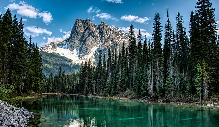 British Columbia, Canada PEO Services