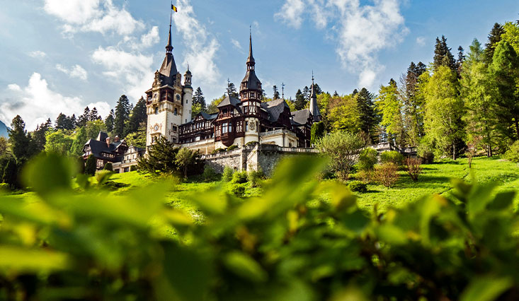 Romania PEO Services