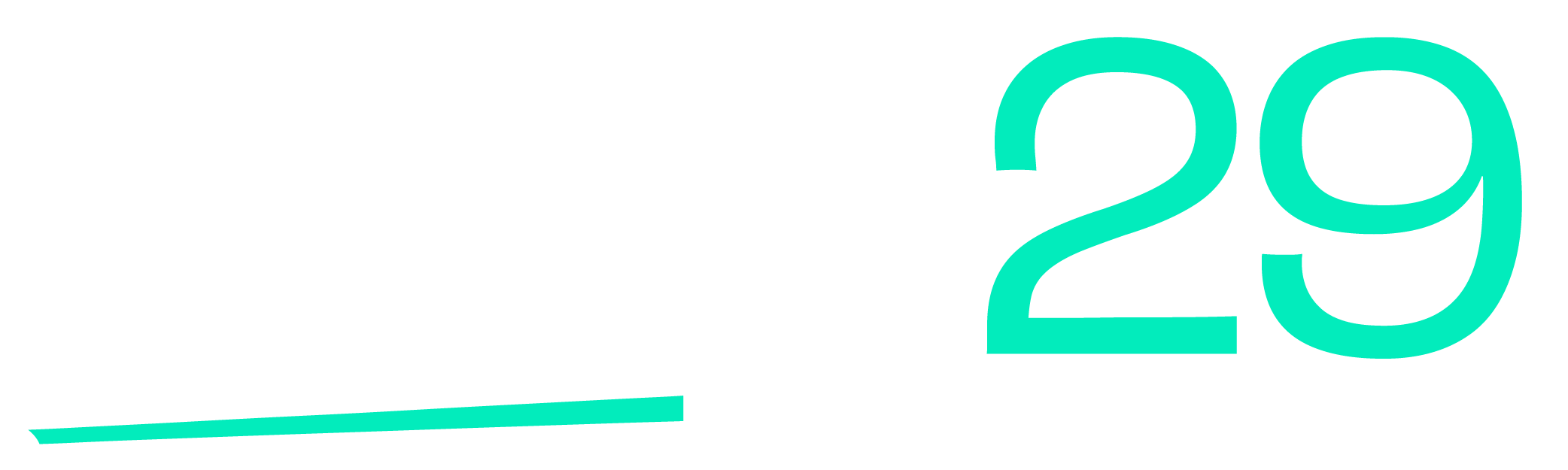 Leap29 Global Recruitment and Expansion Solutions
