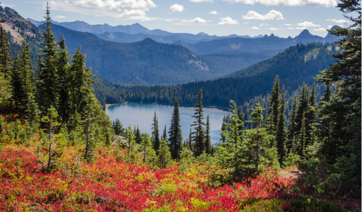 Canada, British Columbia Fact Sheet
