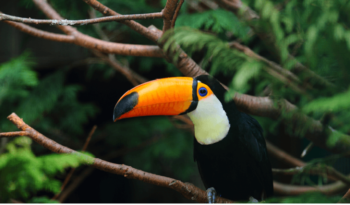 Costa Rica Employment Facts