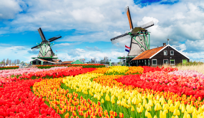 Netherlands EOR Netherlands EOR